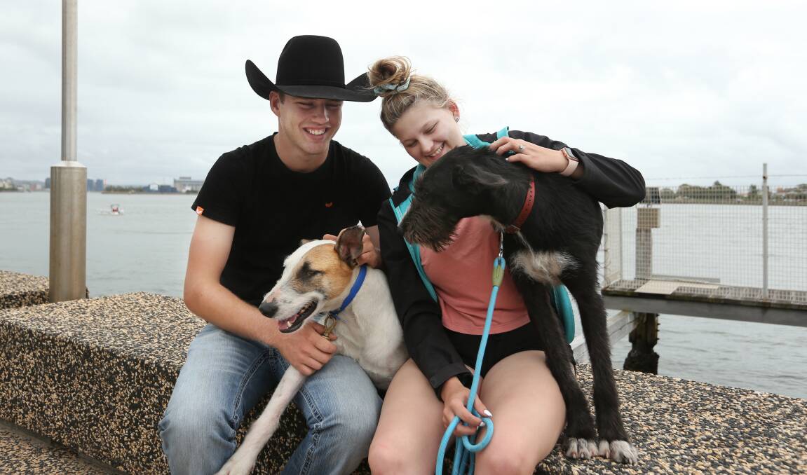 HAPPY NEW YEAR: Rodeo riders Brady Hunter with Gypsy the dog and Abbey Melmeth with Twister in Newcastle on Thursday. Picture: Simone De Peak