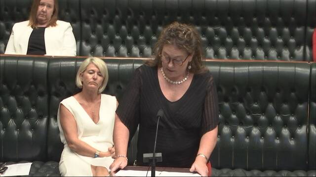 PARLIAMENTARY PRIVILEGE: Blue Mountains MP Trish Doyle raised the allegations in Parliament on Wednesday.