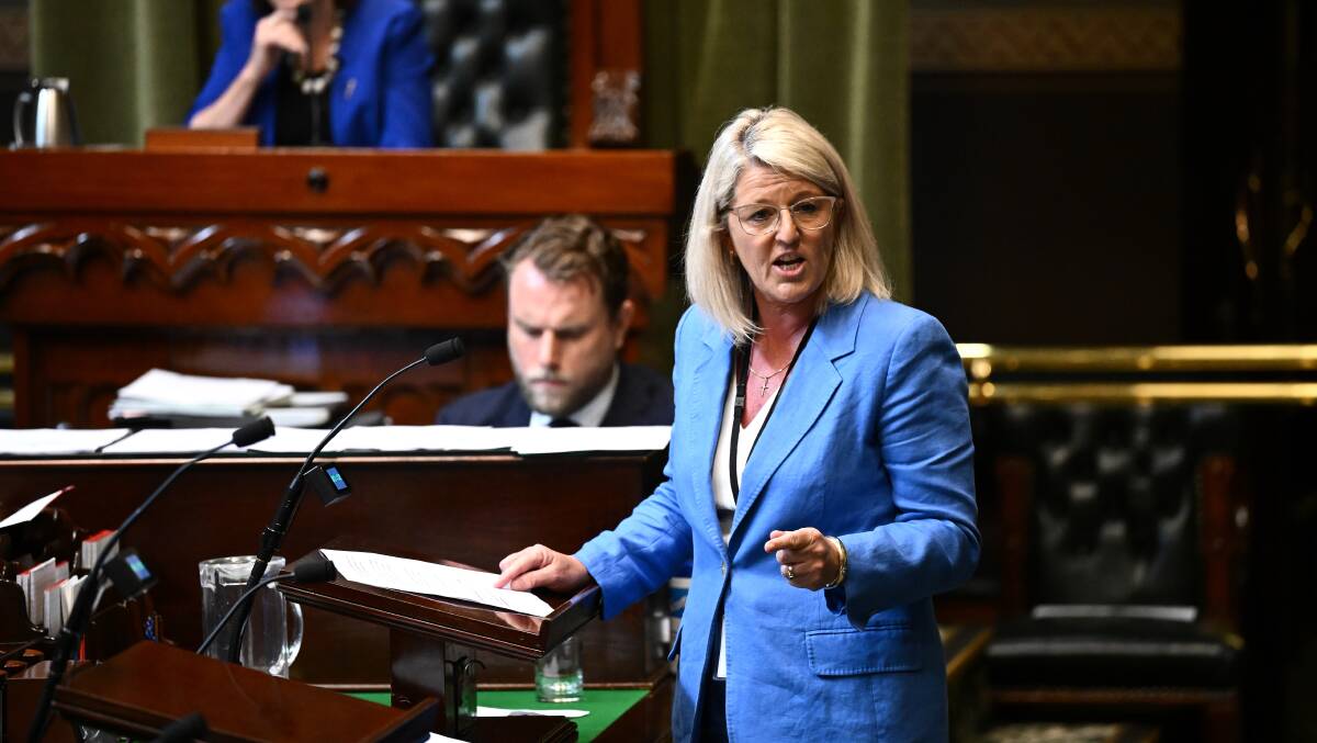 Swansea MP Yasmin Catley debates the port bill in Parliament on Tuesday. Picture by AAP