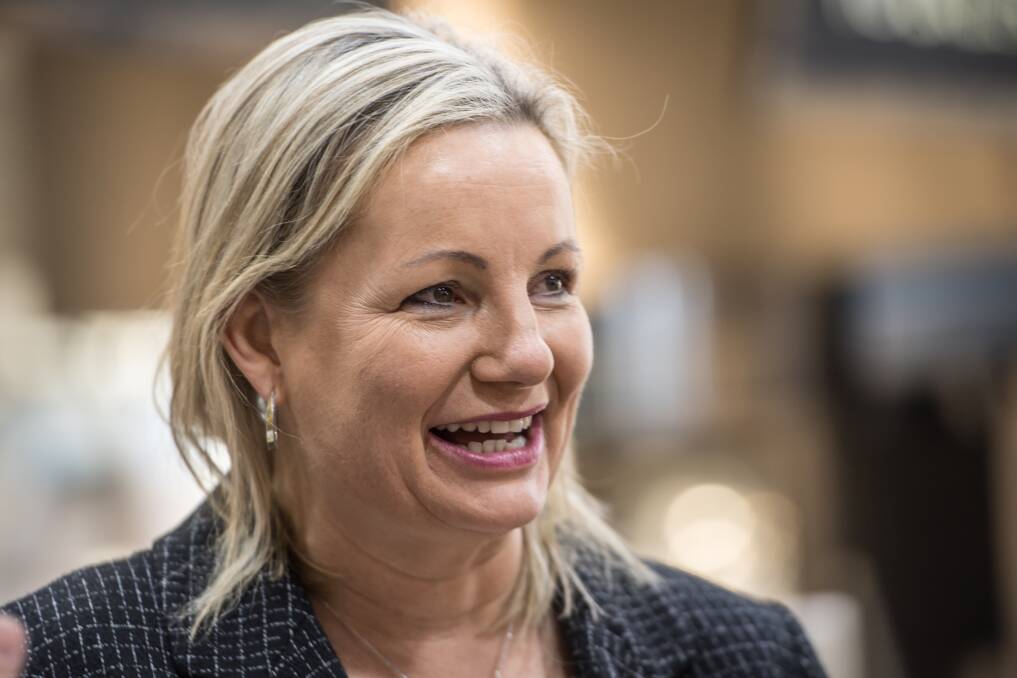 TICK: Environment Minister Sussan Ley will be in the Hunter on Monday to announce her approval of the Kurri Kurri gas-fired power station.