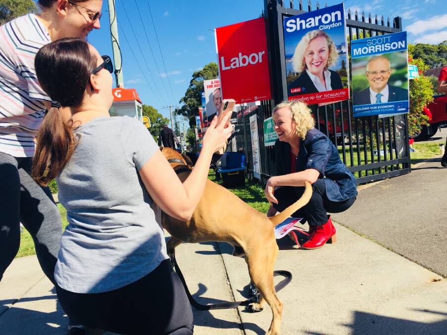Newcastle MP Sharon Claydon meeting the locals at the Waratah Public School polling booth this morning. 