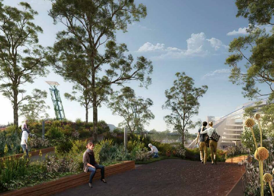 A concept image from a Hunter Park planning document prepared by urban design firm Hassell for Venues NSW last year. 
