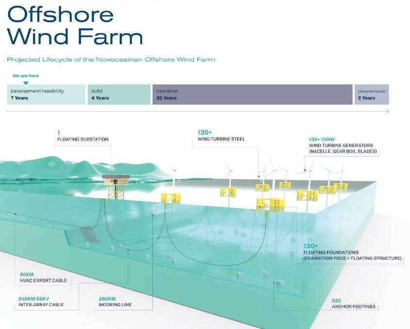 DESIGN: An Oceanex diagram of the Novocastrian Offshore Wind Farm.