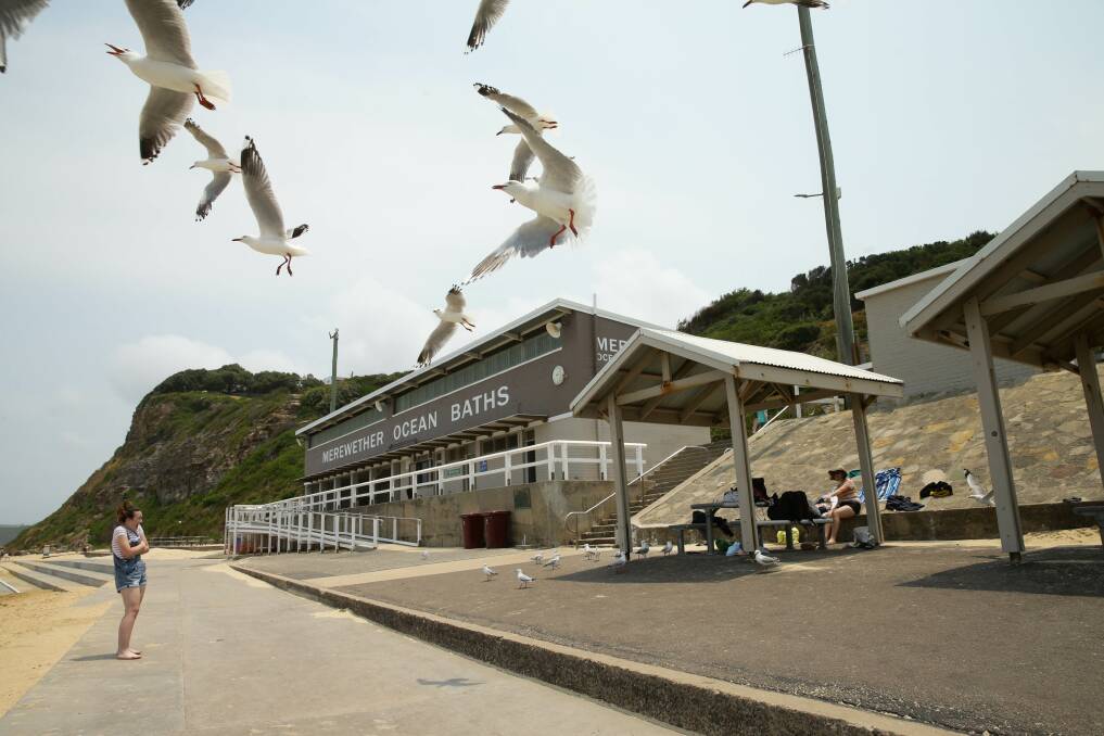 UP FOR DEBATE: Seagulls fight for scraps at Merewether Ocean Baths on Wednesday. Picture: Jonathan Carroll