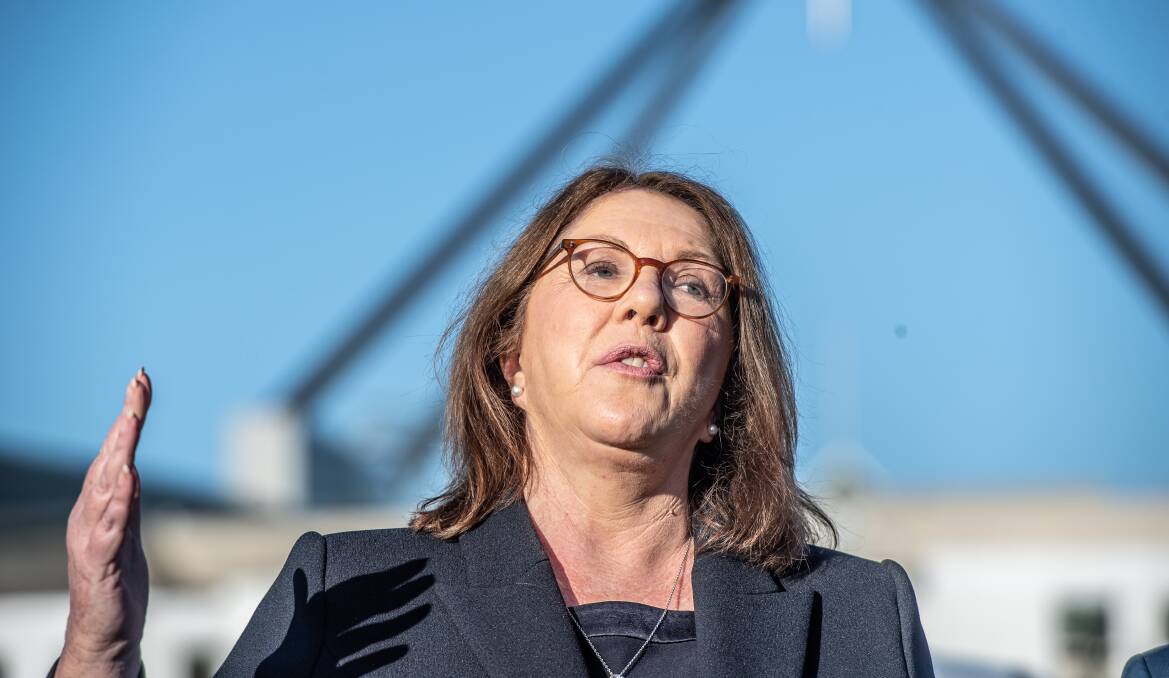 Infrastructure Minister Catherine King speaking in Canberra last week. Picture by Karleen Minney