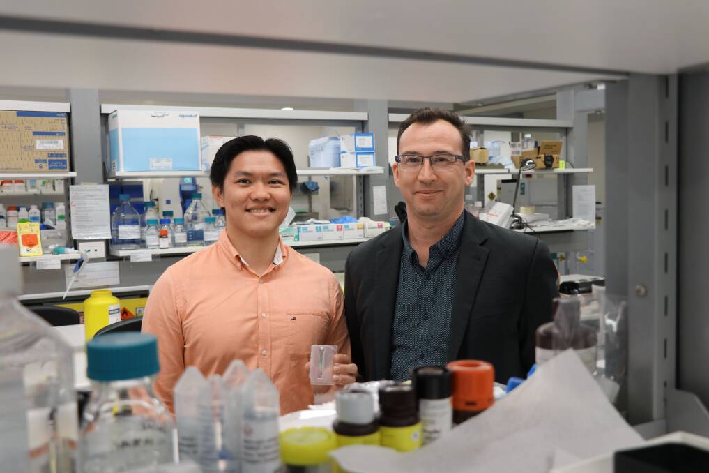 Hope grows: Study co-authors, post-doctoral research fellow Dr Lin Kooi Ong, and University of Newcastle associate professor, Rohan Walker, were part of a team who found a link between growth hormone and stroke recovery.