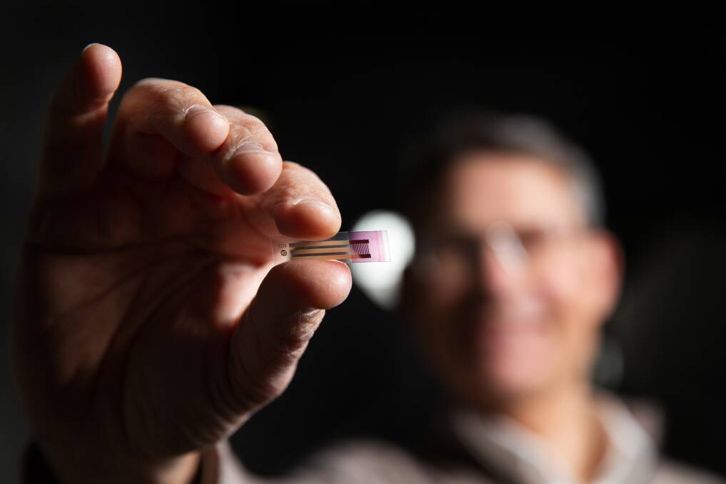 Potential: Professor Paul Dastoor with one of the "lickable" bio-sensors. Picture: MARINA NEIL