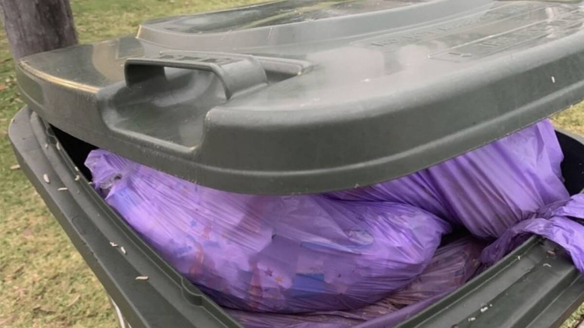 Full: More than 9000 people have signed an online petition to lobby Lake Macquarie City Council to reinstate weekly kerbside general rubbish collection. Residents have complained of putrid, overflowing bins covered in maggots.