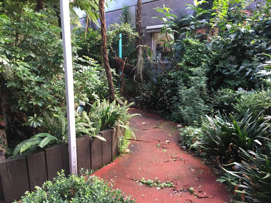 Before: Tree roots had broken through the pathway and the plants had become overgrown and unruly. Picture: Supplied