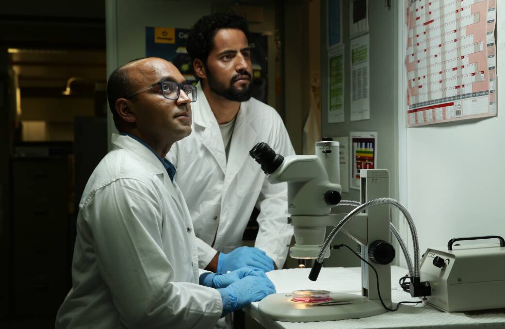 Hope: Associate Professor Pradeep Tanwar and Dr Shafiq Syed were part of the research team that made the key discovery. Picture: Simone De Peak 