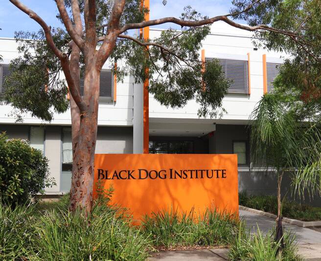 Finalist: The Black Dog Institute's LifeSpan project is up for an award.