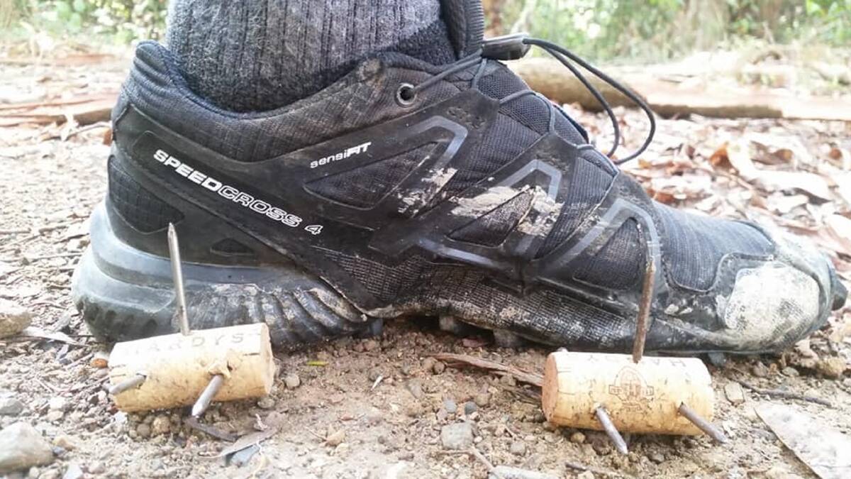 NASTY FIND: A jogger found the booby traps while trail running through bushland in Lake Macquarie State Conservation Area, at Bolton Point, on Monday.
