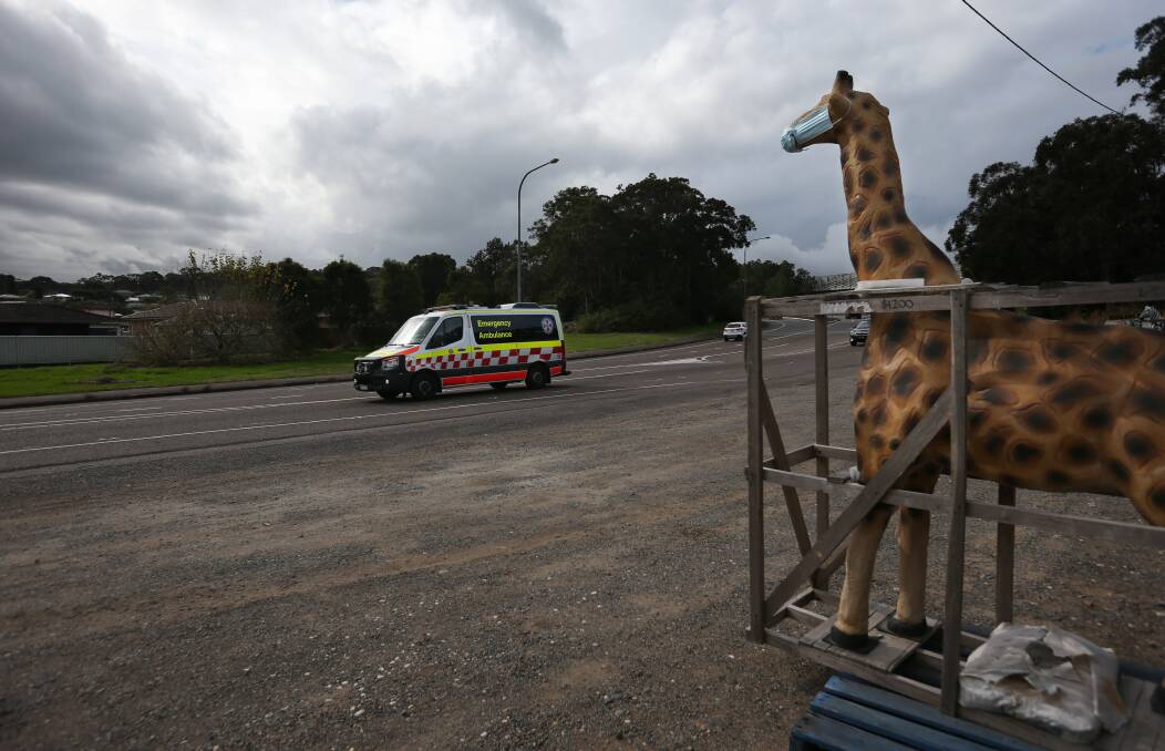 Stay safe: A giraffe masks up on Hillsborough Road. Picture: Simone De Peak