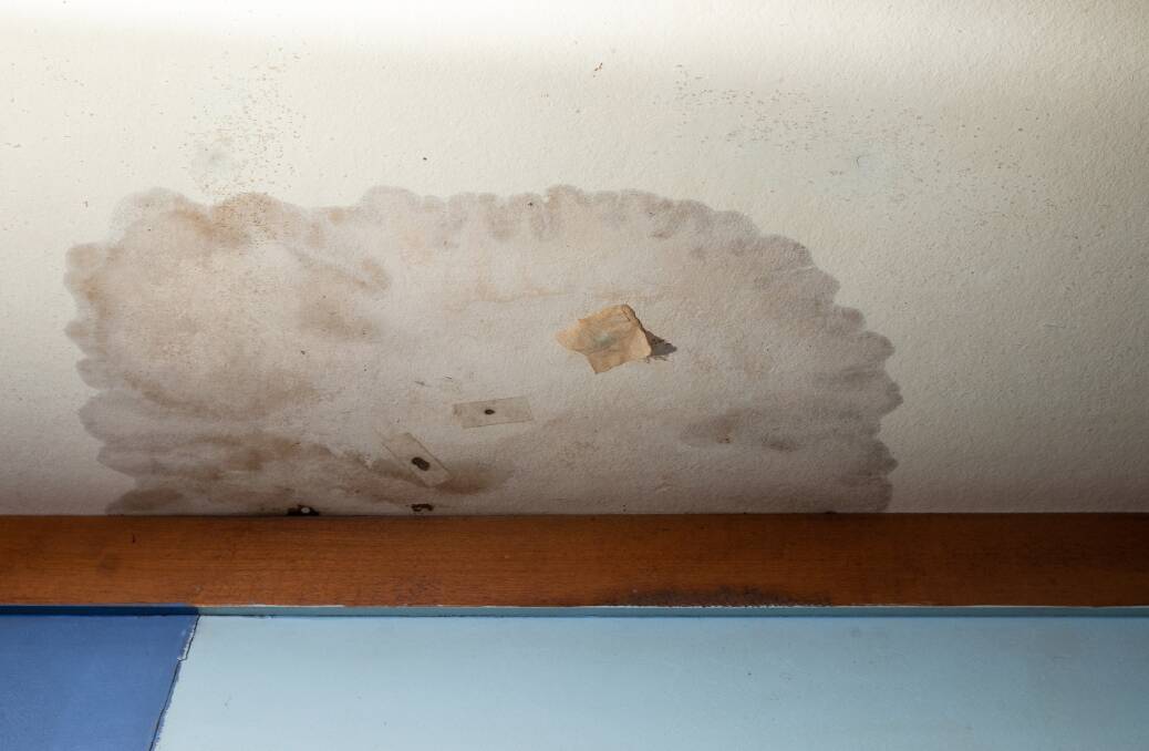 Not ideal: A mouldy patch has been growing on the ceiling of Mary's current bedroom.