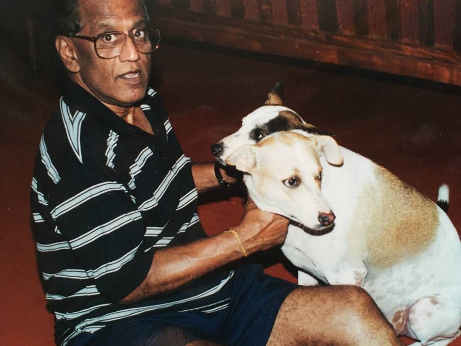 Animals: Dr D trying to find stray dogs a home in Sri Lanka.