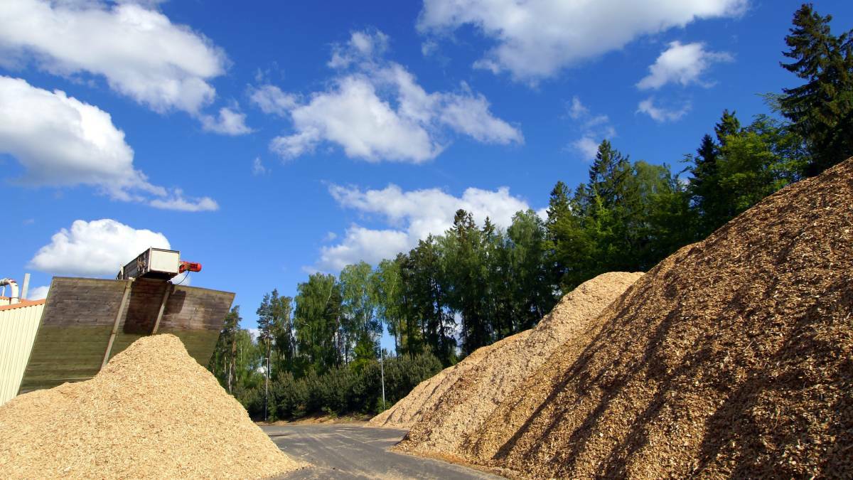 Councillors seek to block wood chip exports