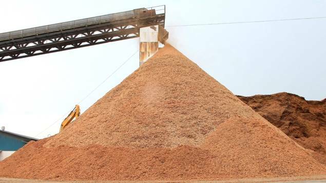 Redbank biomass links questioned