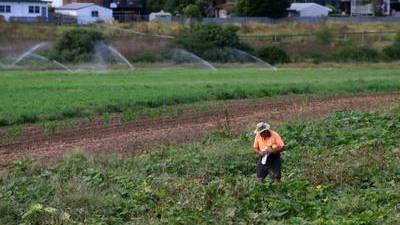 Maitland farmers warn pumping plan would wipe them out