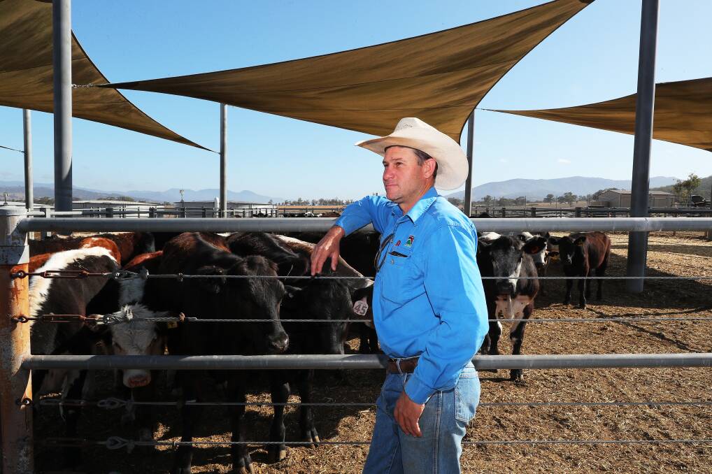 Scone Saleyards and Equine Facility co-odinator Brett Peel at the sale yards this week. Picture by Peter Lorrimer. 