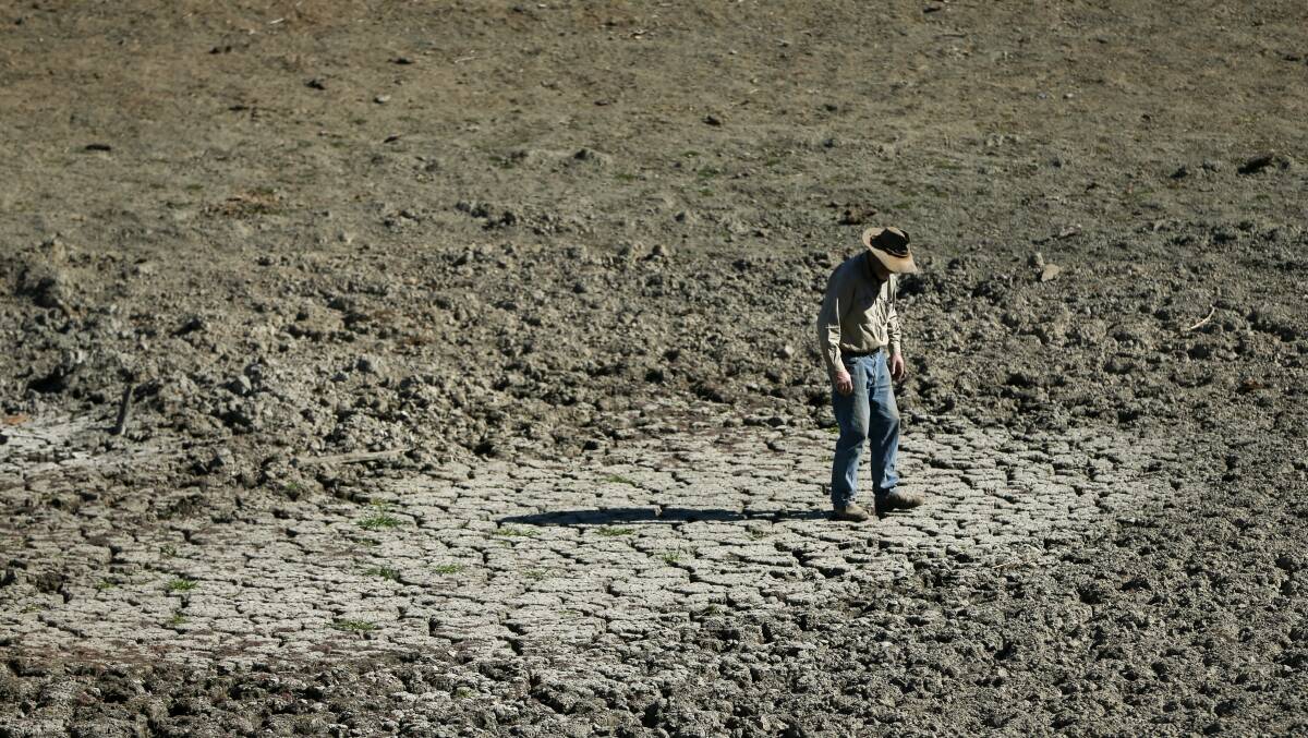 The big dry: Gundy Cattle farmer Bill Hanna walks through one of four empty dams on his property. The current drought is among the worst on record. Plans are under way to improve water connectivity between the Lower and Upper Hunter. Picture: Marina Neil