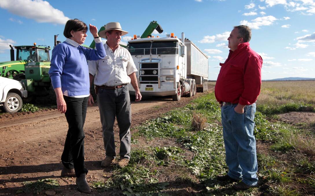 Susan Lyle speaks with Liverpool Plains farmers Tim Duddy (red shirt) and Andrew Purshouse