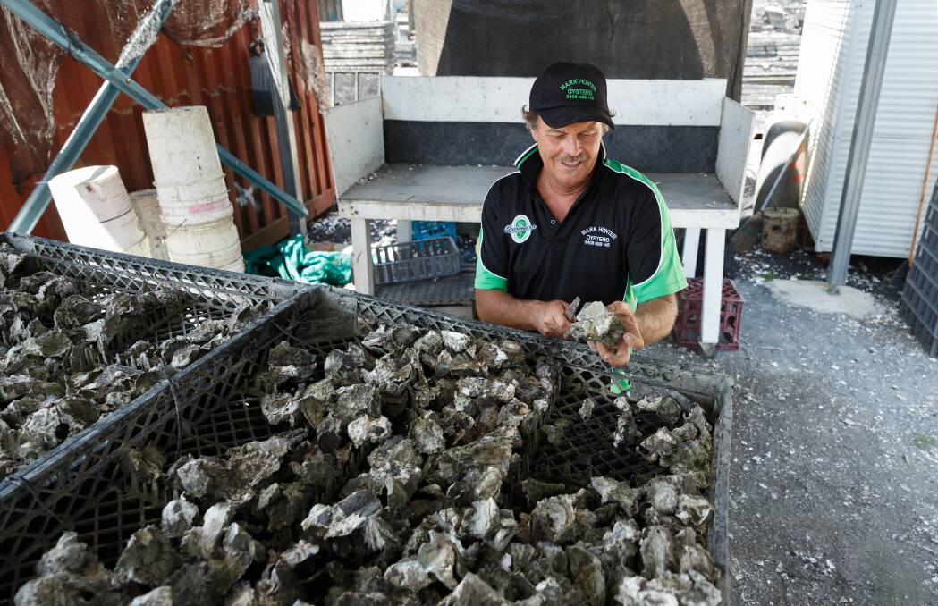 Healthy crop: Port Stephens Shellfish committee chairman and oyster grower Mark Hunter said the area's oysters were continuing to grow well. Picture: Jonathan Carroll. 