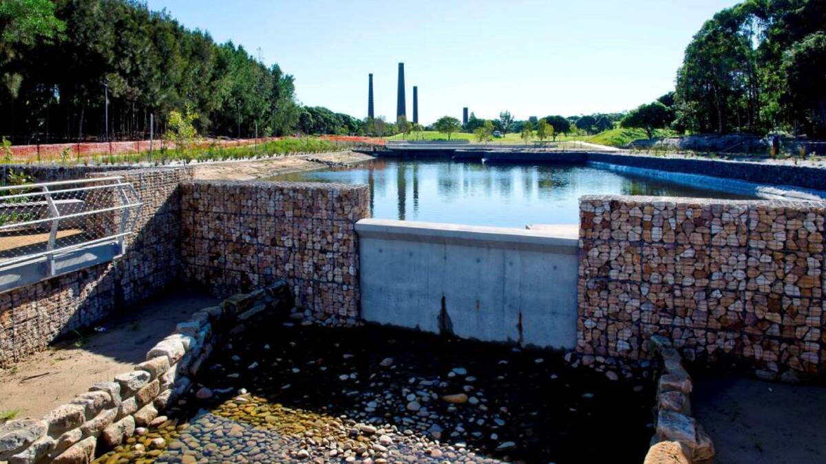 Harvest: About 850 million litres of stormwater pass through this stormwater harvesting system at the Sydney Park wetlands.