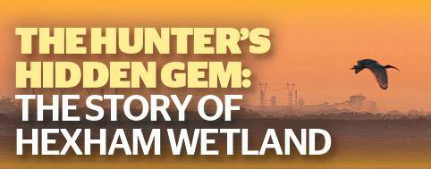 The mammoth task of rehabilitating the Hexham wetlands