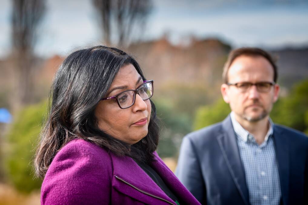 Not Impressed: Greens senator Mehreen Faruqi revealed the federal government's PFAS website has attracted only 5600 unique visitors in a year. Picture: Elesa Kurtz
