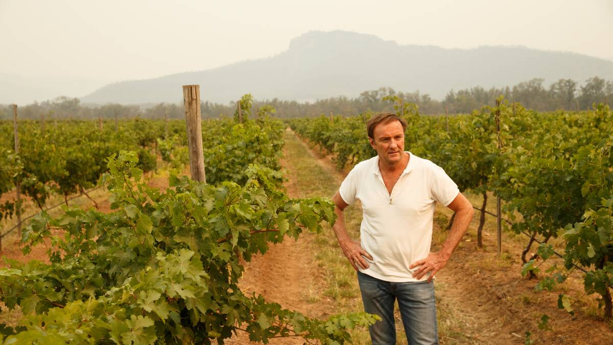 Innovation: Hunter winemaker Andrew Margan inspects his soon-to-be harvested vines at Broke. Picture: Max Mason-Hubers