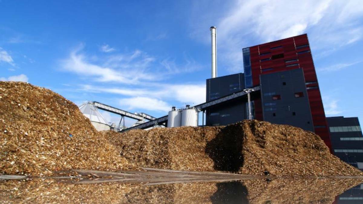 Up in smoke: Biomass similar to what was proposed to be burnt at the Redbank Power Station. 