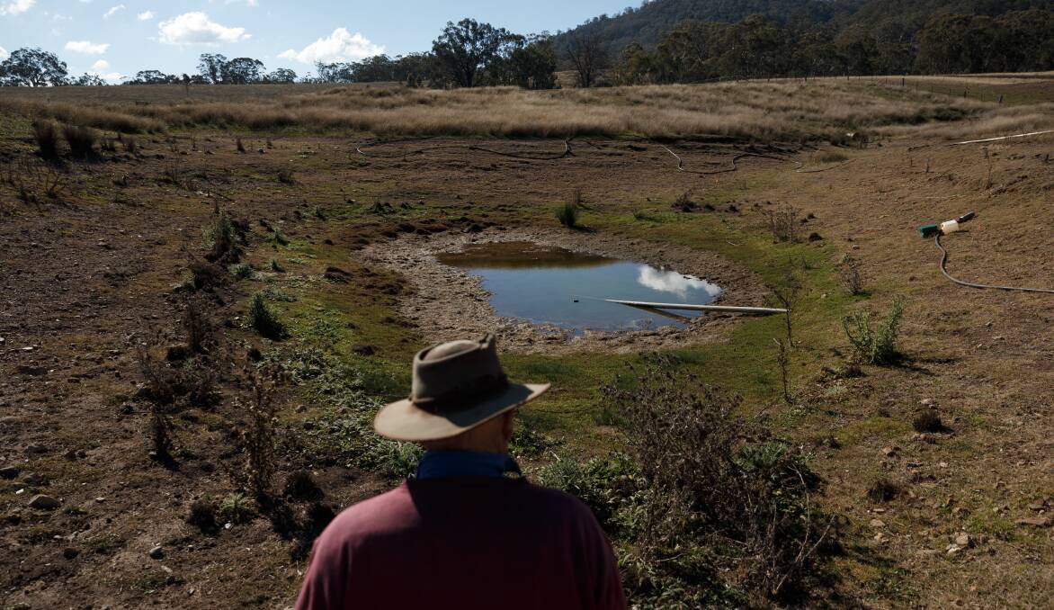 Precious drop: Sandy Creek farmer Brian Hunt looks into one of his dams. 