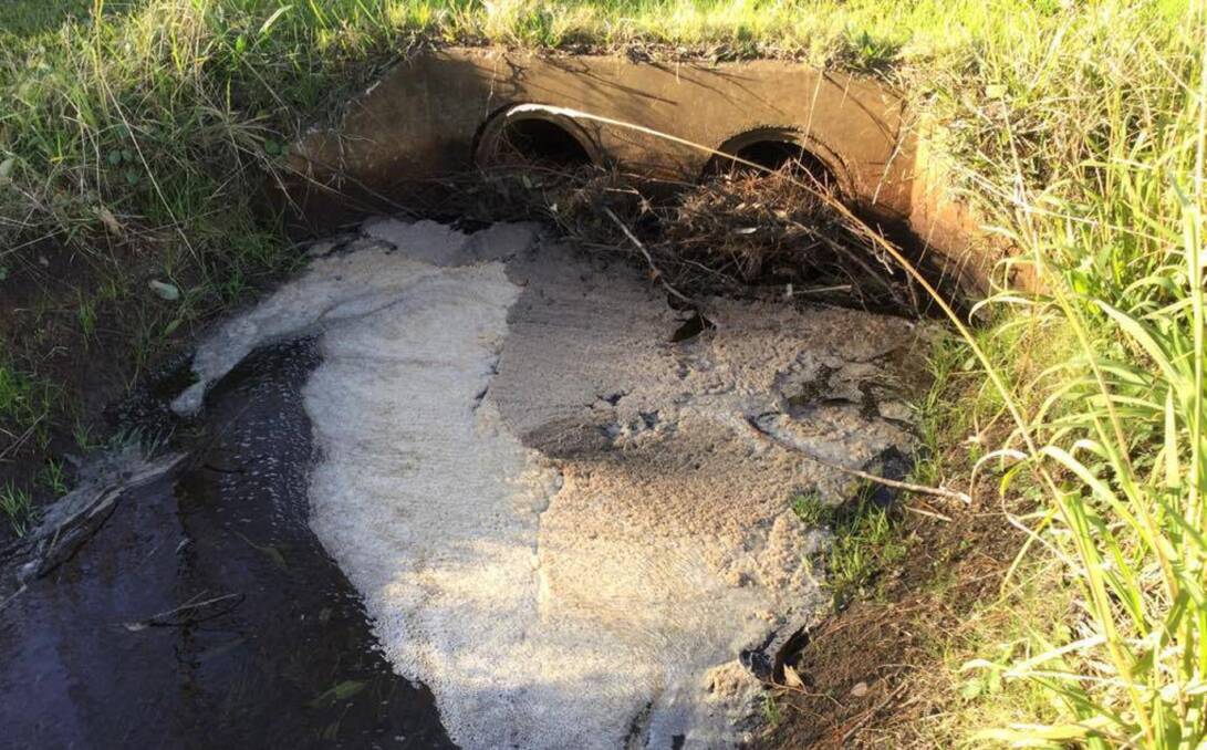 Legacy: PFAS foam in Moore's drain near Williamtown. The area remains contaminated. 