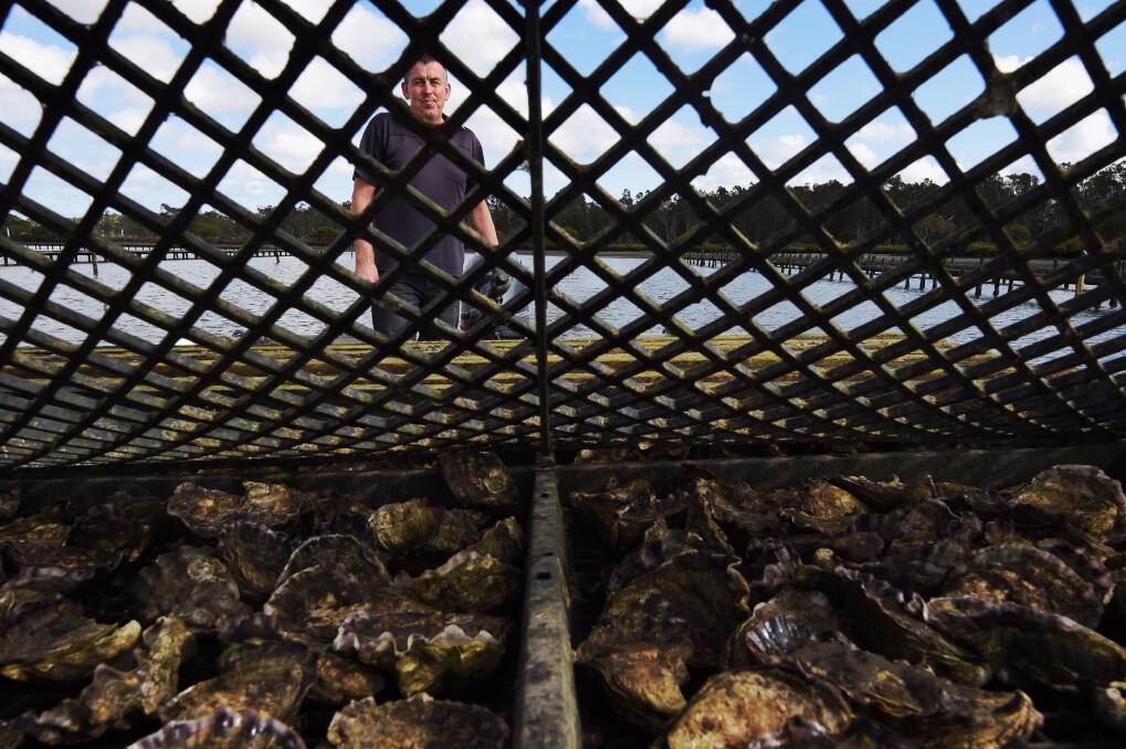 Hanging in: Mark Salm from XL Oysters said the business was still selling to the Sydney Fish Markets. Picture: Nick Moir