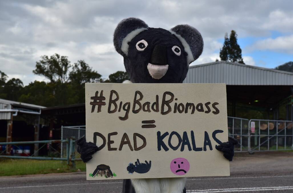 Making a point: A protester dressed as a koala during last week's day of action on biomass. 