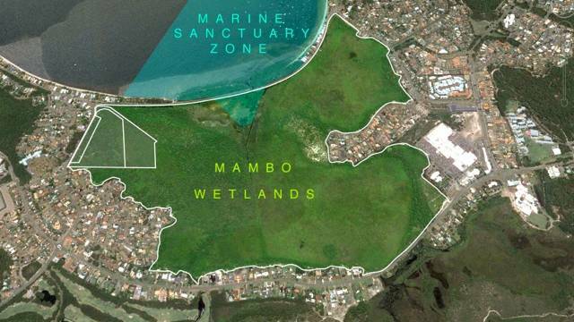 Mambo Wetlands saved but threat continues