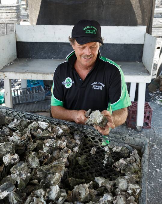 Making the grade: Mark Hunter grading a fresh harvest of oysters. Picture: Max Mason-Hubers. 