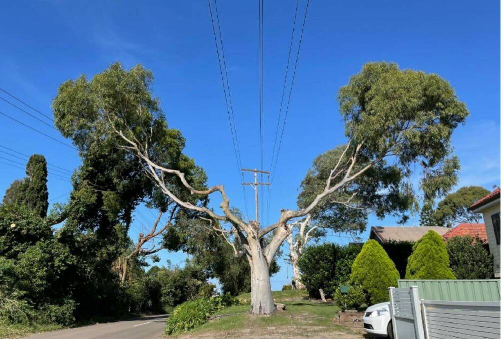 No compromise: Ausgrid contractors must meet safety guidelines. 