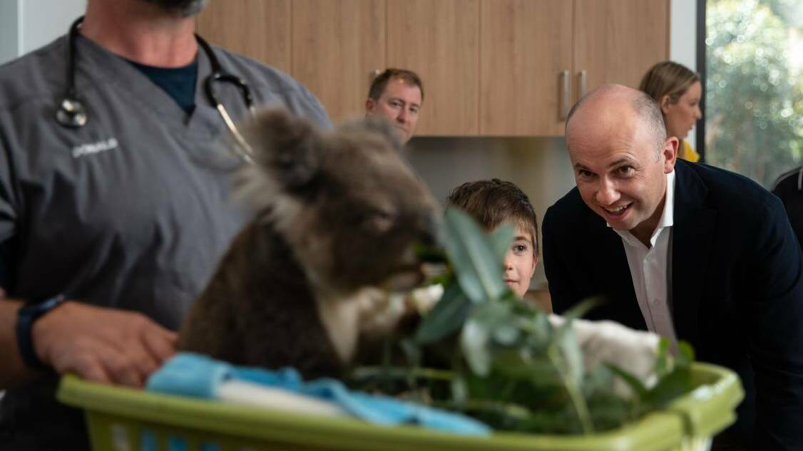  Veterinary surgeon Donald Hudson with Jax, at the Port Stephens Koala Sanctuary Hospital as Environment Minister Matt Kean watches on. Picture: Marina Neil.