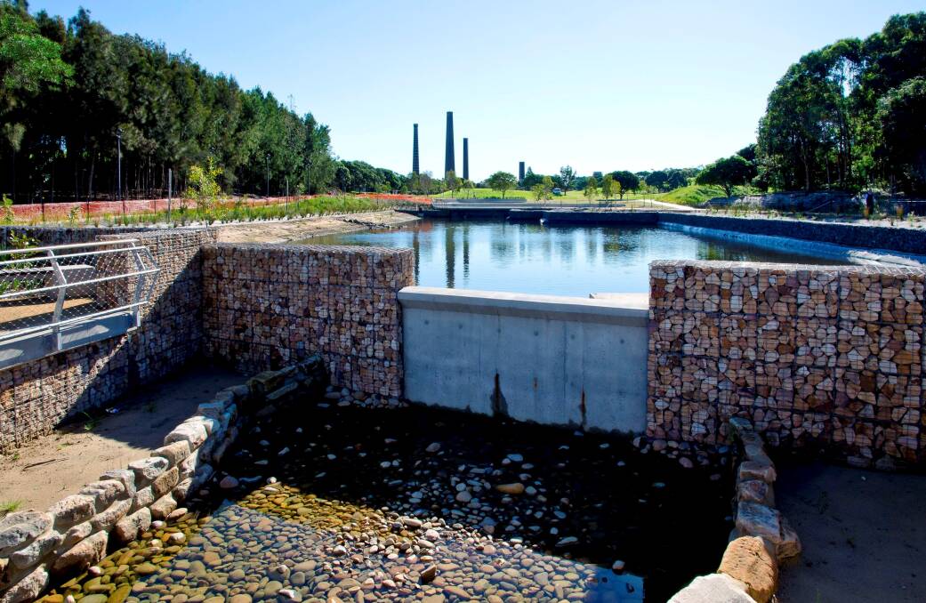 Rich harvest: About 850 million litres of stormwater pass through this stormwater harvesting system at the Sydney Park wetlands.