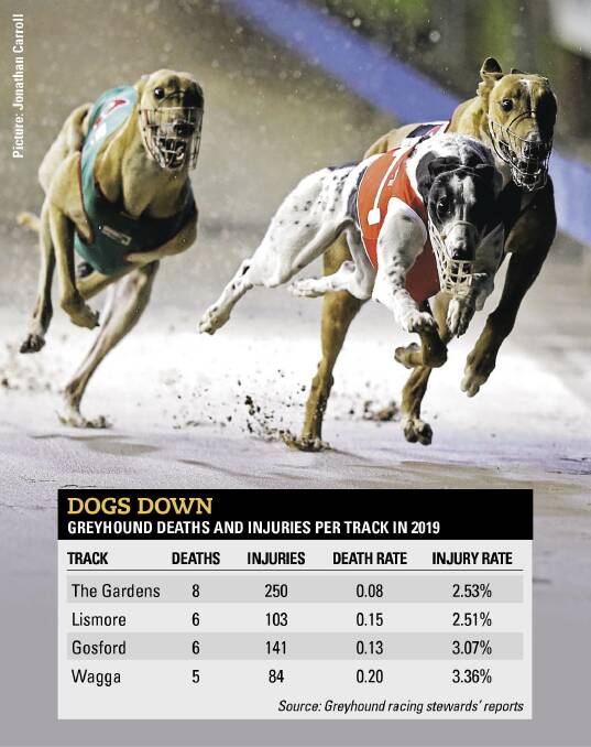 The Gardens named as the state's deadliest greyhound track in 2019