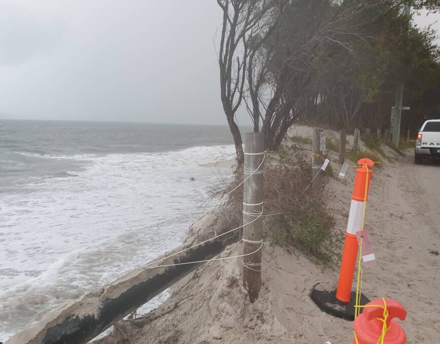 Hanging on: A clump of trees on The Boulevard were expected to be washed into the ocean on Thursday night. Picture: Gordon Grainger. 