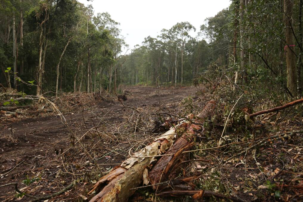 Minmi Road where there has been further land clearing for Winten Property's Minmi estate. Picture by Simone De Peak
