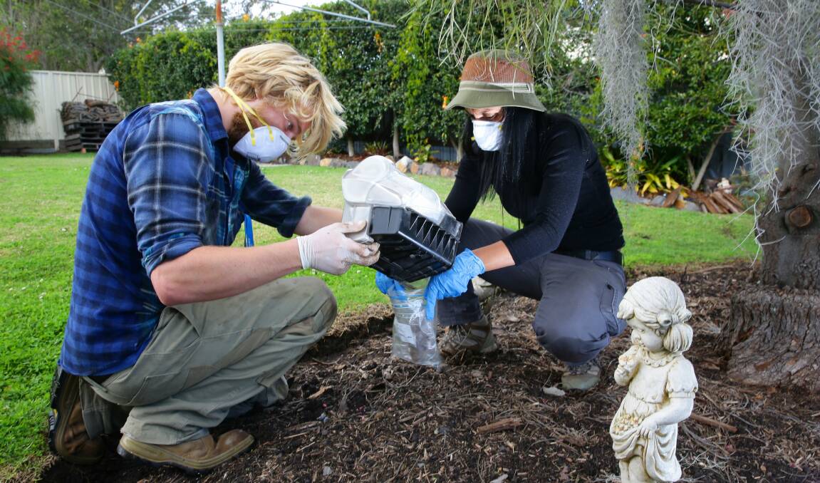 Sampling: Macquarie University students Nathan Keelan and Samantha Grant-Vest taking soil samples from homes in Boolaroo in late 2014 as part of a joint Newcastle Herald investigation. Picture: Peter Stoop