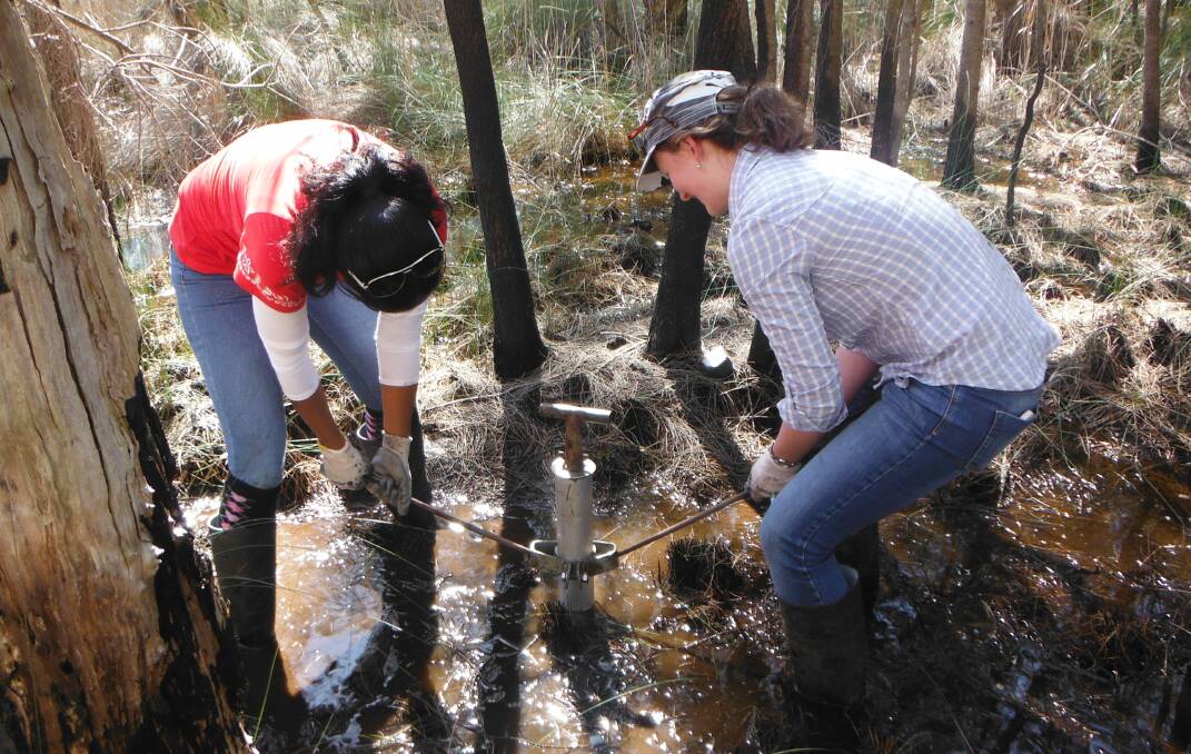 Digging in: University of Wollongong researchers collecting cores from Lake Macquarie.