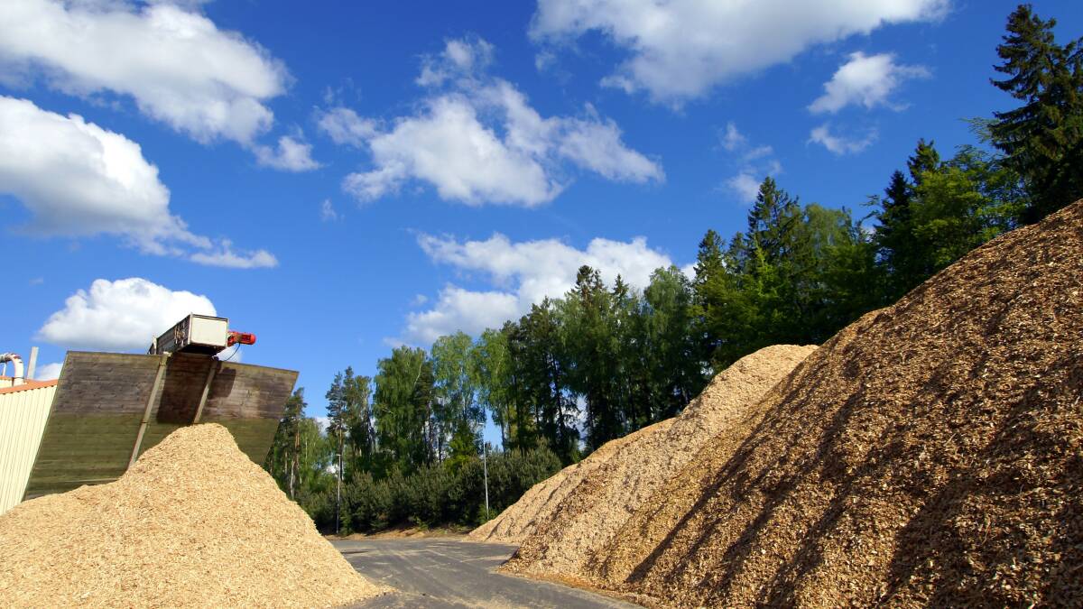 Push to recommence woodchip exports from Port of Newcastle