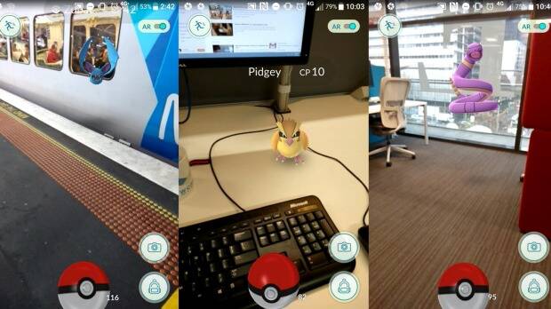 A wild Zubat at the station, plus a Pidgey and an Ekans in an office.
