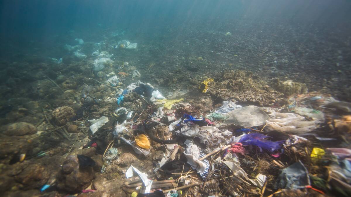 Tragedy of the Commons killing oceans