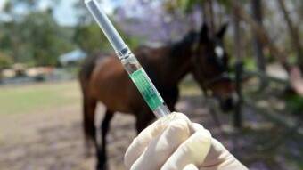 Winter may deliver heightened Hendra virus risk for region's horses