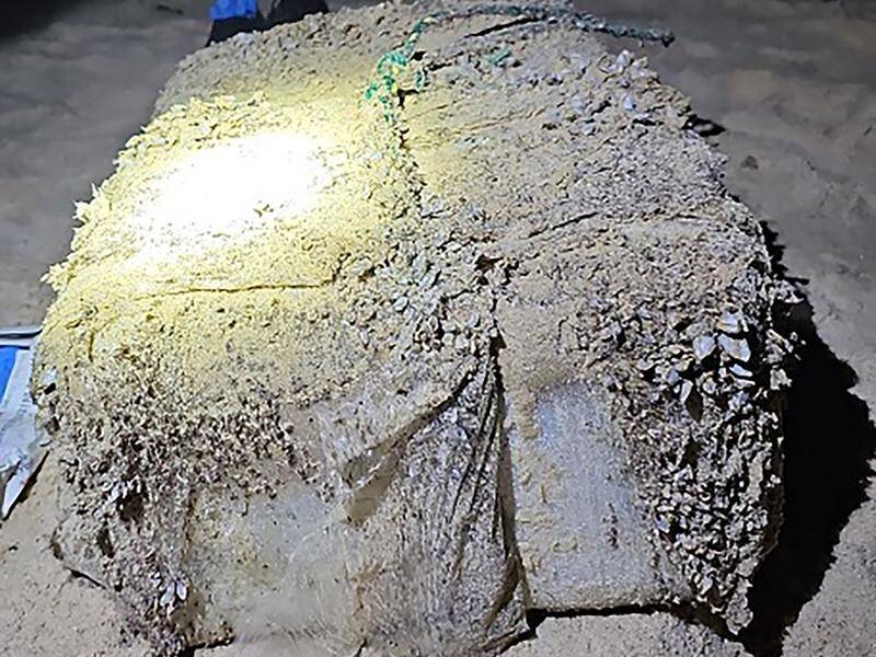 One of the suspected cocaine packages, covered in barnacles, which washed up on beaches between Newcastle and Sydney. Picture by NSW Police